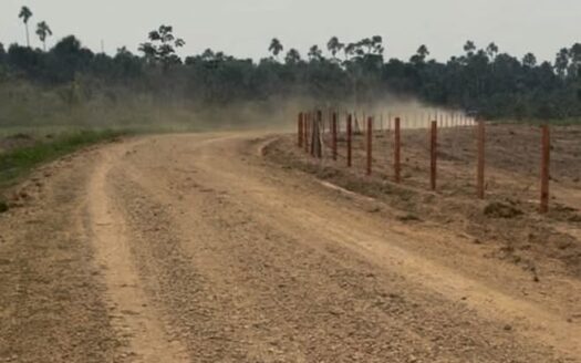 Las piedras, sector Madama 11 Hectarias