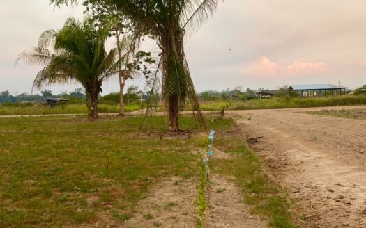 Triunfo 250 m² con titulo