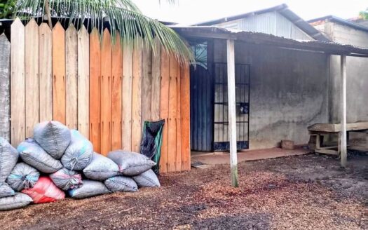 Por Mercado 3 de Mayo 1 Lote en ZONA URBANA 🏠📈