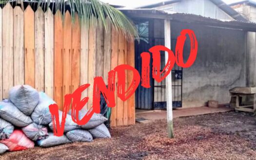 Por Mercado 3 de Mayo 1 Lote en ZONA URBANA 🏠📈